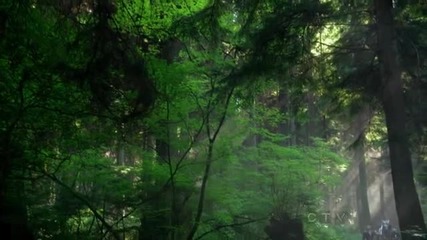 Once upon a time Сезон 2 Епизод 3 - Част 2/2 (бг субс)