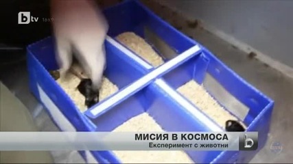 Влечуги в Космоса