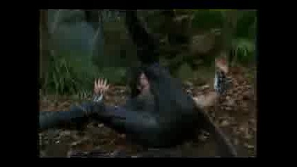 Xena Ares - I Could Never Be Your Woman