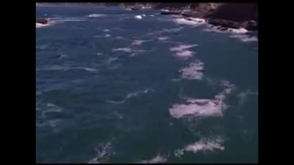 Flauta de Pan 
