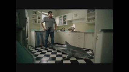 Big Catch - Solo