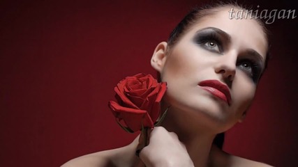 Тъмно червена роза - Йорданка Христова