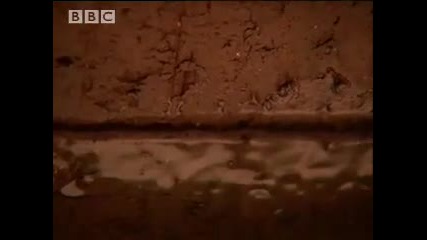 Volcanic collapse - Mega Tsunami - Bbc 