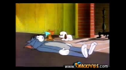 Tom & Jerry - Puppy Tale