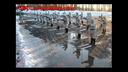 Funny Pictures