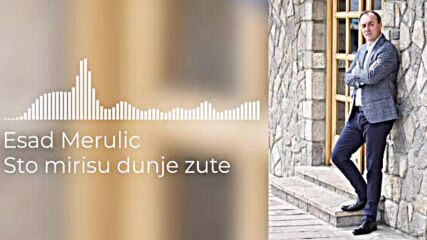 Esad Merulic - Sto Mirisu Dunje Zute (official Audio) .mp4