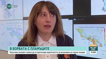 Нова технология с изкуствен интелект може да прогнозира рисковете от възникване на горски пожари