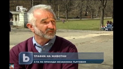 През България трафик на животни