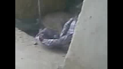 Видео030.3gp