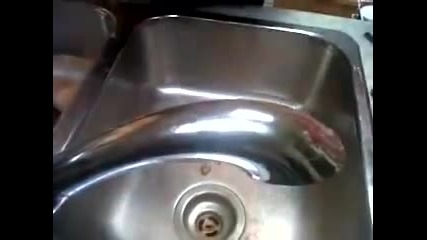 autumn's cinnamon challenge