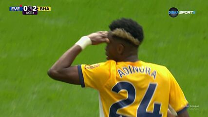 Goal by Brighton and Hove Albion