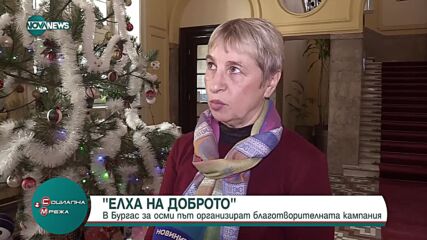 Общината в Бургас организира инициатива "Елха на доброто"