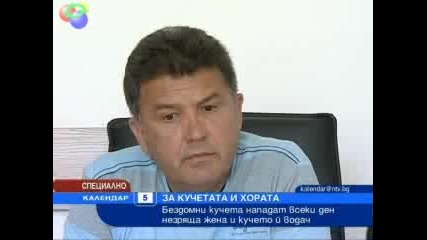Бездомни кучета нападат всеки ден незряща жена 