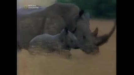 Ng - Да се притечем на помощ на планетата - Българско аудио