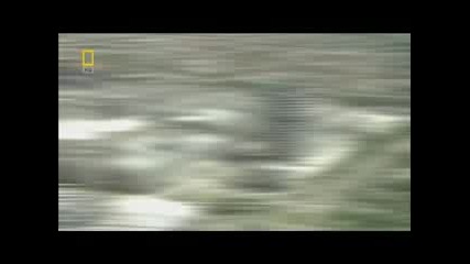 Megafactories Bmw [part 1/5]
