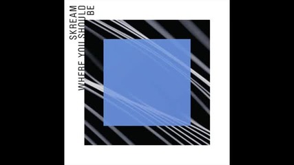 Skream feat. Sam Frank - Where You Should Be (laidback Luke Remix)