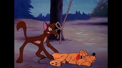 Плуто на лагер - анимация от 1950 година