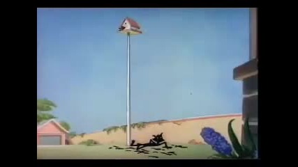 Tom&jerry 1 