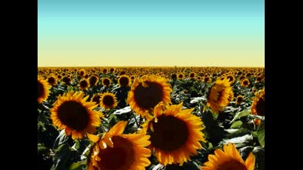 Kenny G - Forever In Love 