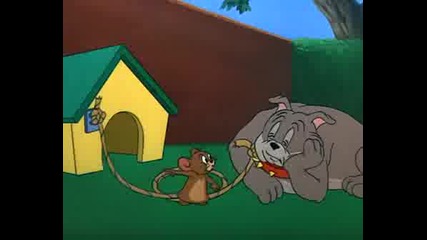 Tom & Jerry - Fit To Be Tied