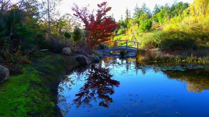 Ernesto Cortazar - Affair To Remember - Let S Take A Walk On Quarryhill