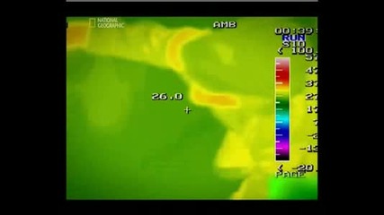 Наблюдение На Далечния Космос - 5.flv