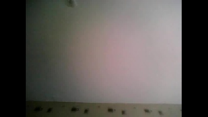 rexi_242_4