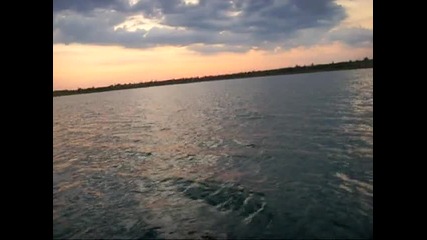 Кльонкане за сом