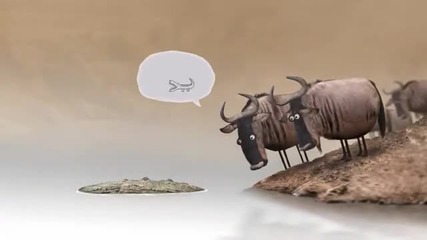 Wildebeest from Birdbox Studio