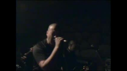 The Riot Punks Skins.