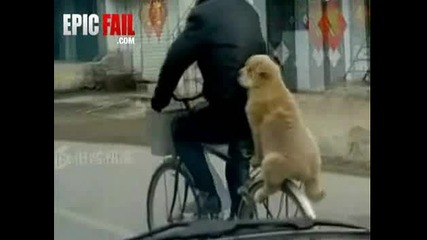 куче се вози на колело