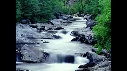 Pollution Problems_nature_thatstwistedup Video