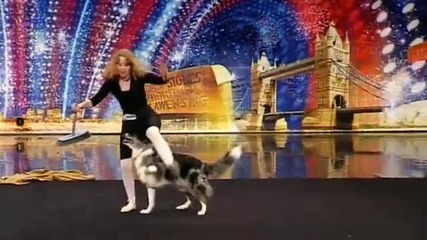 Невероятно танцуващо куче във Великобритания търси талант