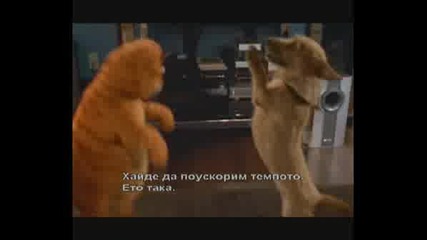 Кали - Гарфилд