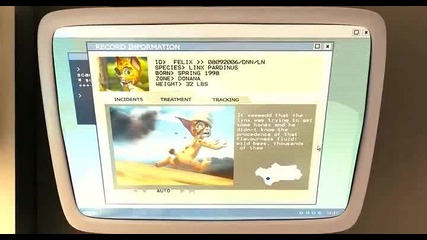 Missing Lynx 