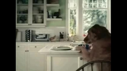 Кучето просто обича Pepsi - Смях