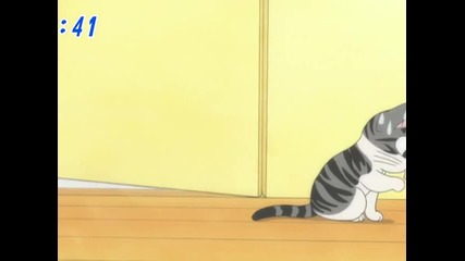 chi's sweet home 039 (bg)