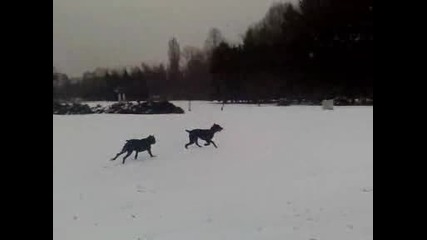 Зимно Препускане.avi