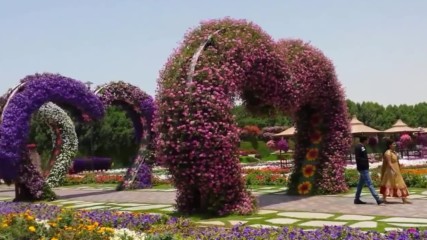 Hd - Most Beautiful And Biggest Natural Flower Garden In The World - Dubai Miracle Gardens