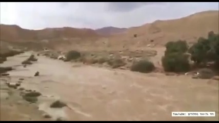 Първата вълна на река Zin, вливащи се в пустинята Негев