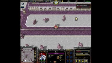 Warcraft 3 run kitty fast level 1 solo