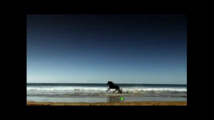 Black beauty ( Rainbow - Snowman) - Черна Красота по (рейнбоу - Снежен човек)