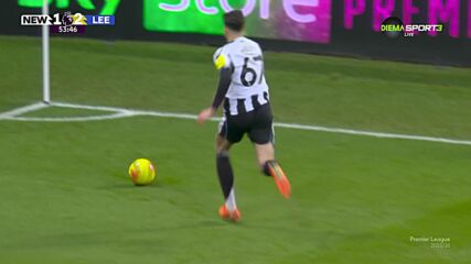 Goal by Newcastle United