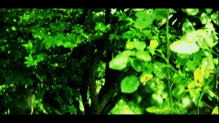 Secret Garden * Hd *