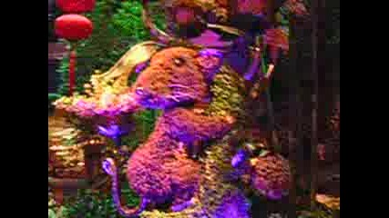 Bellagio Las Vegas - Лятната Градина 2008