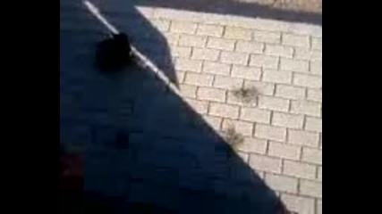 Video-0002