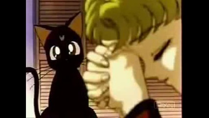 Forever - Seiya and Usagi