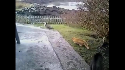 Hunting gone wrong