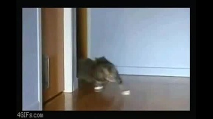 9 минути 100% смях 