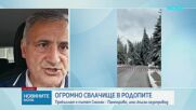 Борове, движещи се към пропаст: Свлачище затвори пътя Пампорово-Смолян